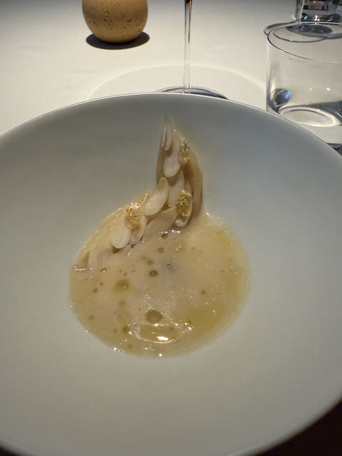 razor clams in a white sauce